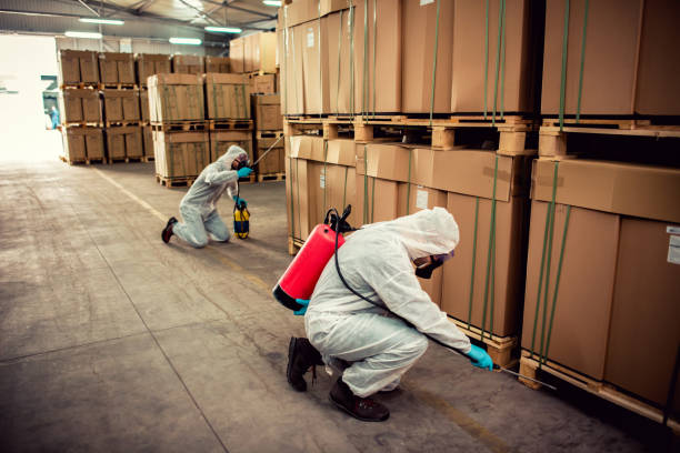 Best Wildlife Control Services  in Doctor Phillips, FL